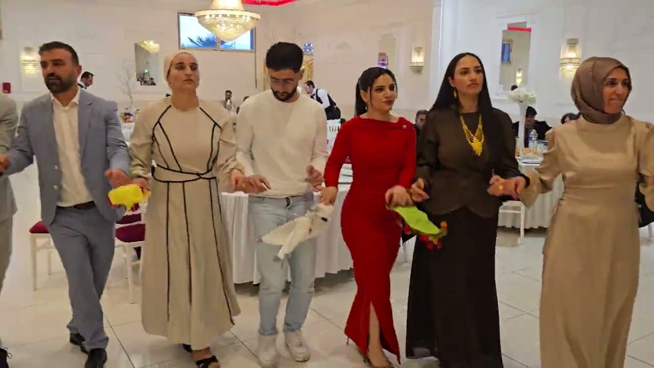 Varto mamahik köyü İbrahim ve Zehra'nın nişanı Paris part 5
