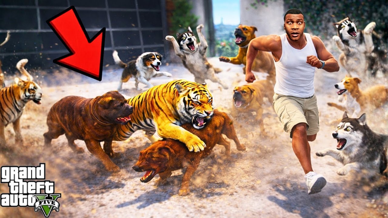 Franklin’s Tigers Battle Dangerous Stray Dogs In GTA 5! | GTA 5 Bangla Gameplay