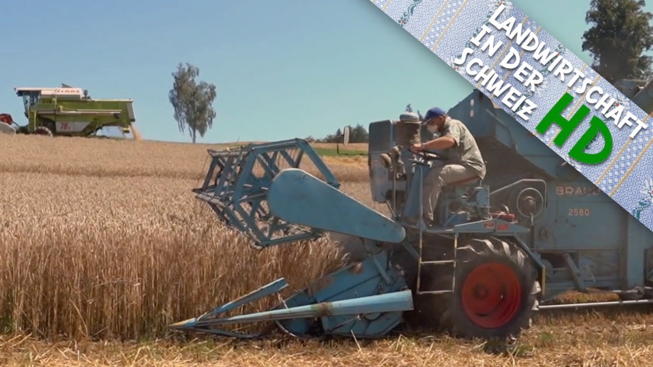 ERNTE SPEZIAL | ALT und NEU | BRAUD 2580 | CLAAS Dominator 78H