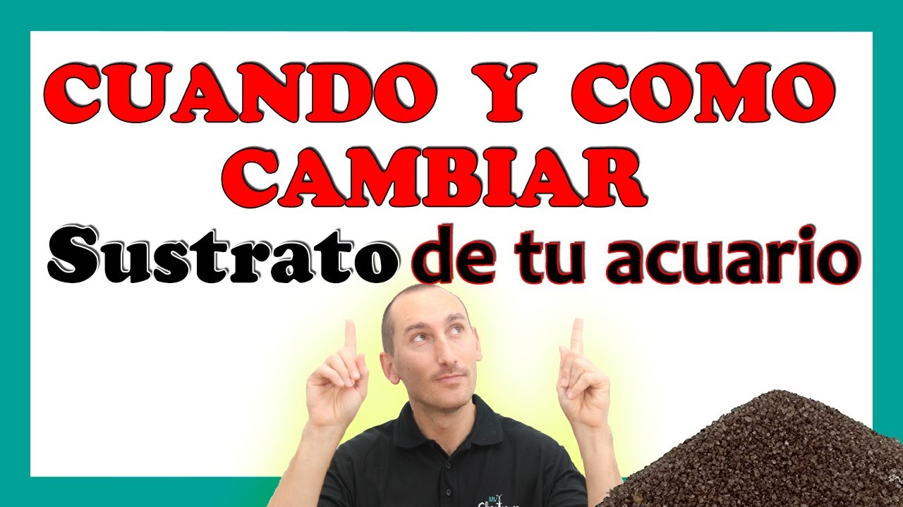 Como CAMBIAR el SUSTRATO de un acuario 🐠 y POR QUE!! 🔥