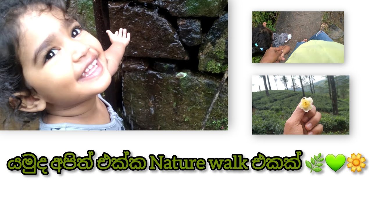 Stress relief  vlog 😌| අම්මයි බබයි| තේ වත්තක් මැද අපේ ජීවිතේ 🌳🍃|Nature walk with mia #viral 