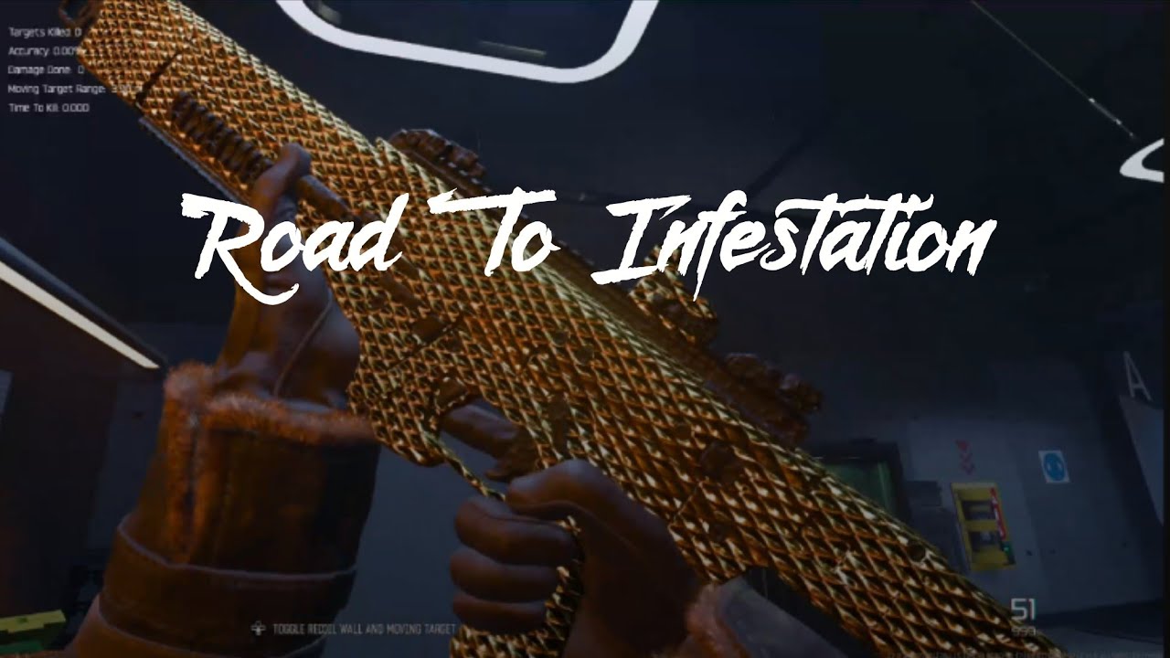 This Easter Egg Makes Camo Grinding Super Easy - Road To Infestation #4 X9 Maverick 