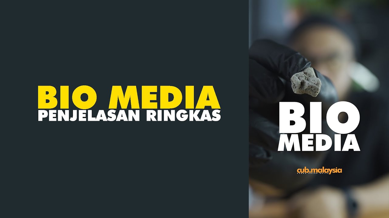Ringkas apa itu bio media