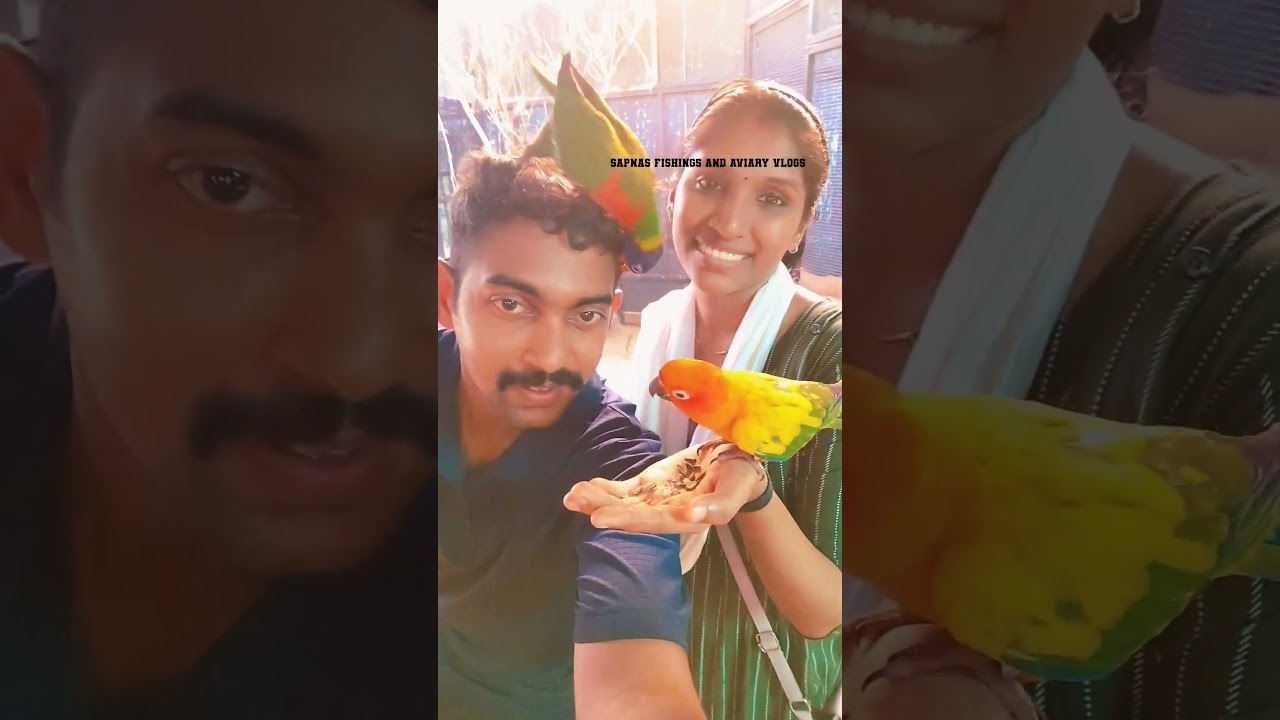 parrot feeding in aviary 😍