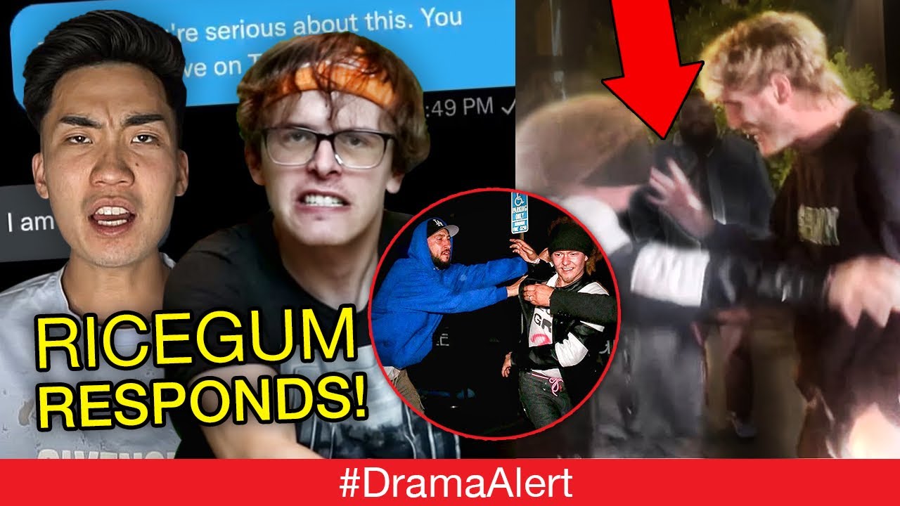 Ricegum RESPONDS to iDubbbz ( BOXING ) - Logan Paul Street Fight (FOOTAGE) - #TeamSeas MrBeast