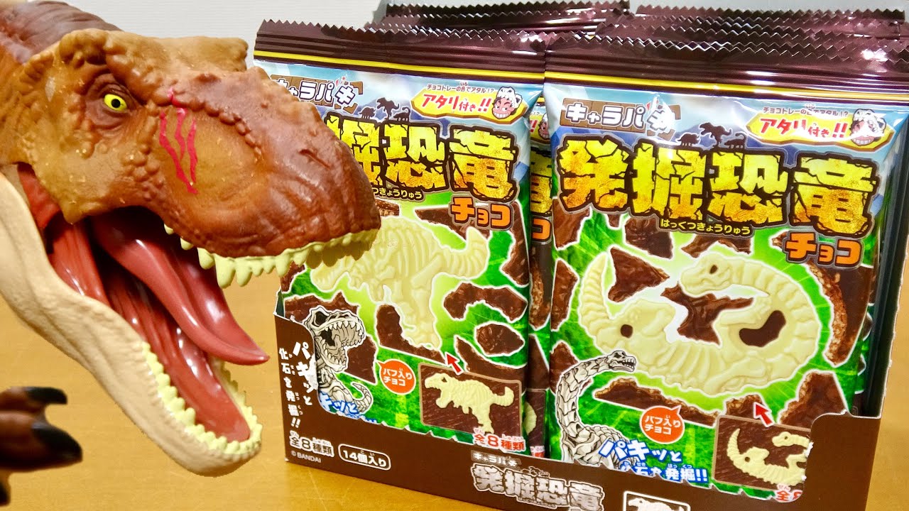 新キャラパキ 発掘恐竜チョコ 1BOX開封! 大好きなモササウルスにスピノサウルスが登場 Dinosaur chocolate