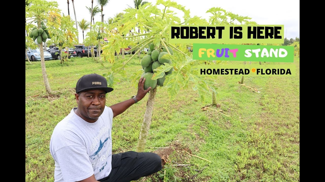 ROBERT IS HERE FRUIT STAND| HOMESTEAD, FL
