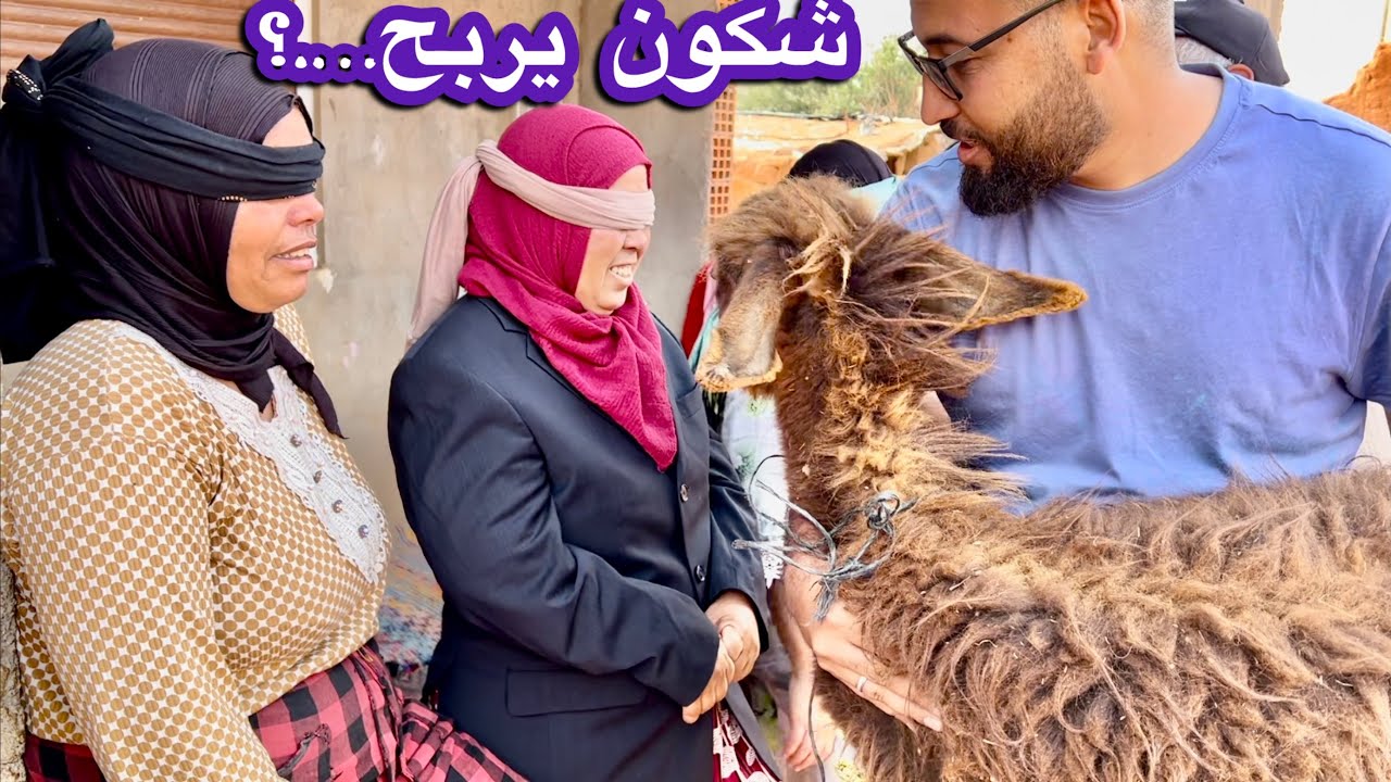 تحدي جديد شكون يربح العيد 🤣🤣 جاب ليهم حمار 🤣🤣