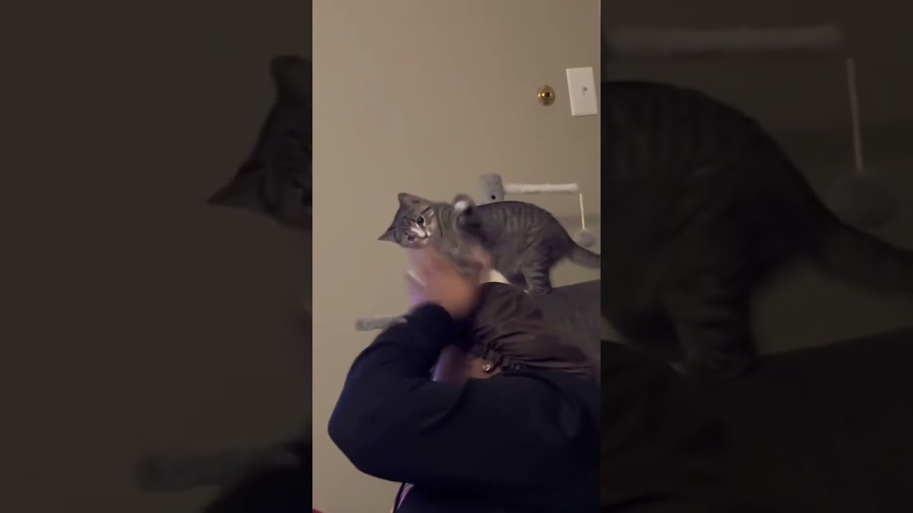 Black people with cat