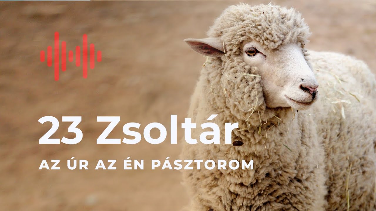 23. Zsolt&aacute;r - Az &Uacute;r az &Eacute;n P&aacute;sztorom
