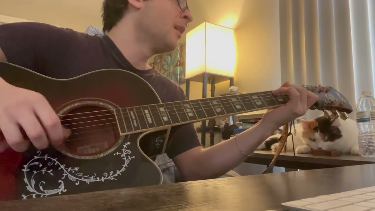 Sublime - Boss DJ - acoustic cover