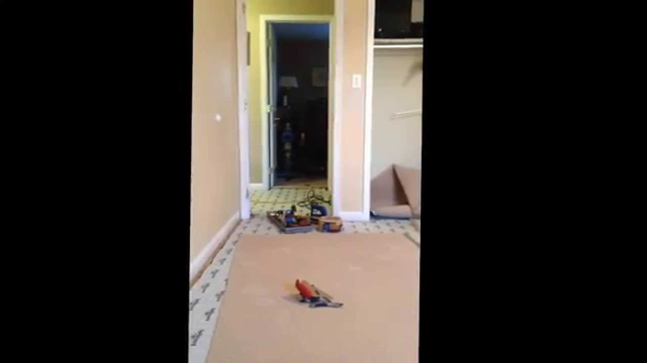 How to seam carpet. Teppo Interiors installation of Innovia Touch.