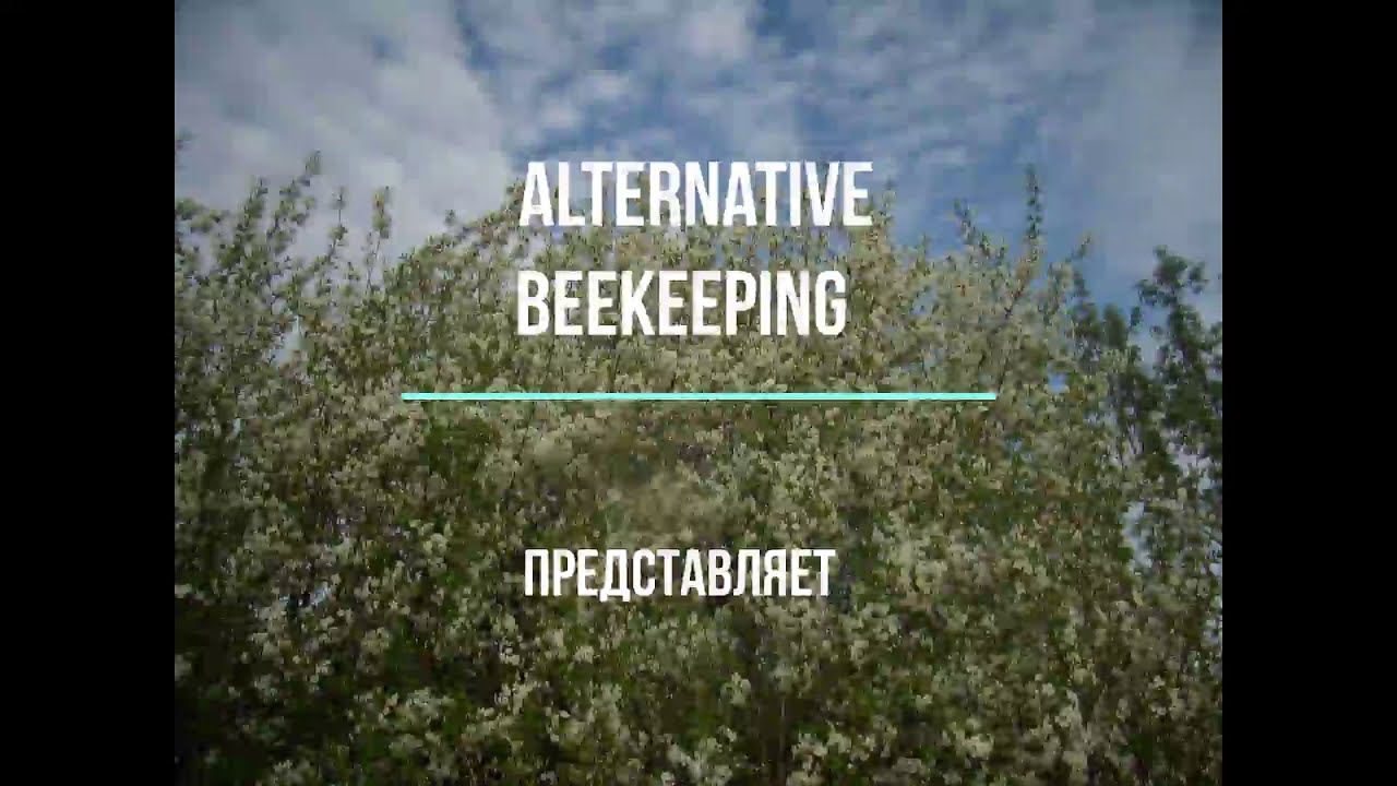 Улей из железобетона.Обоснование.