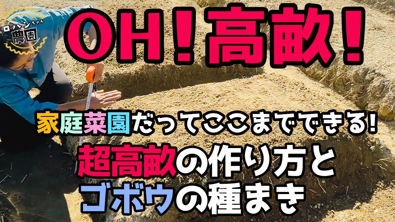 【ごぼう種まき】【家庭菜園】ジョレンを使ってさらに高畝を作ろう！【有機】【ゴボウ】