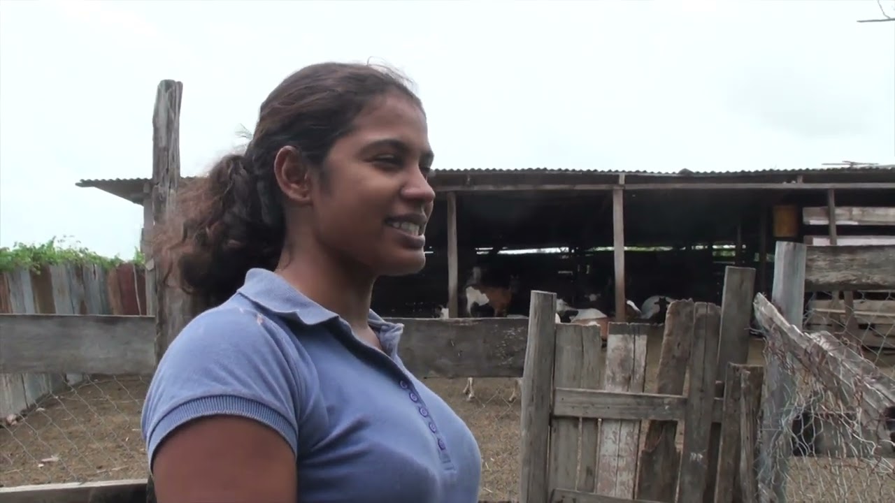 West Berbice, Guyana & visiting the gold tooth dentist