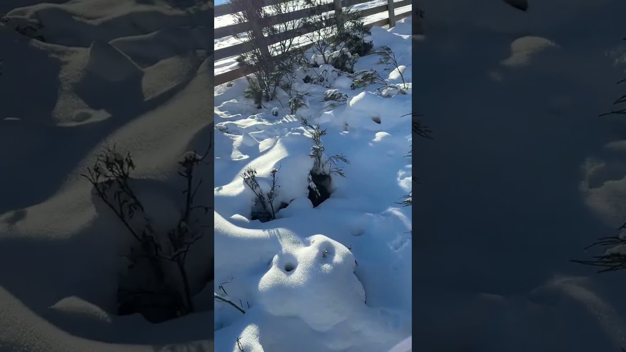 Sunny Winter Climb Beside the Ski Slopes | Valle de Laciana &ndash; Leitariegos