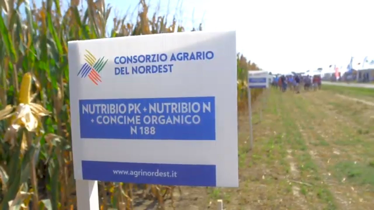 NUTRIBIO N | Ammendante biologico con funghi micorrizici (micorrize) e batteri azotofissatori