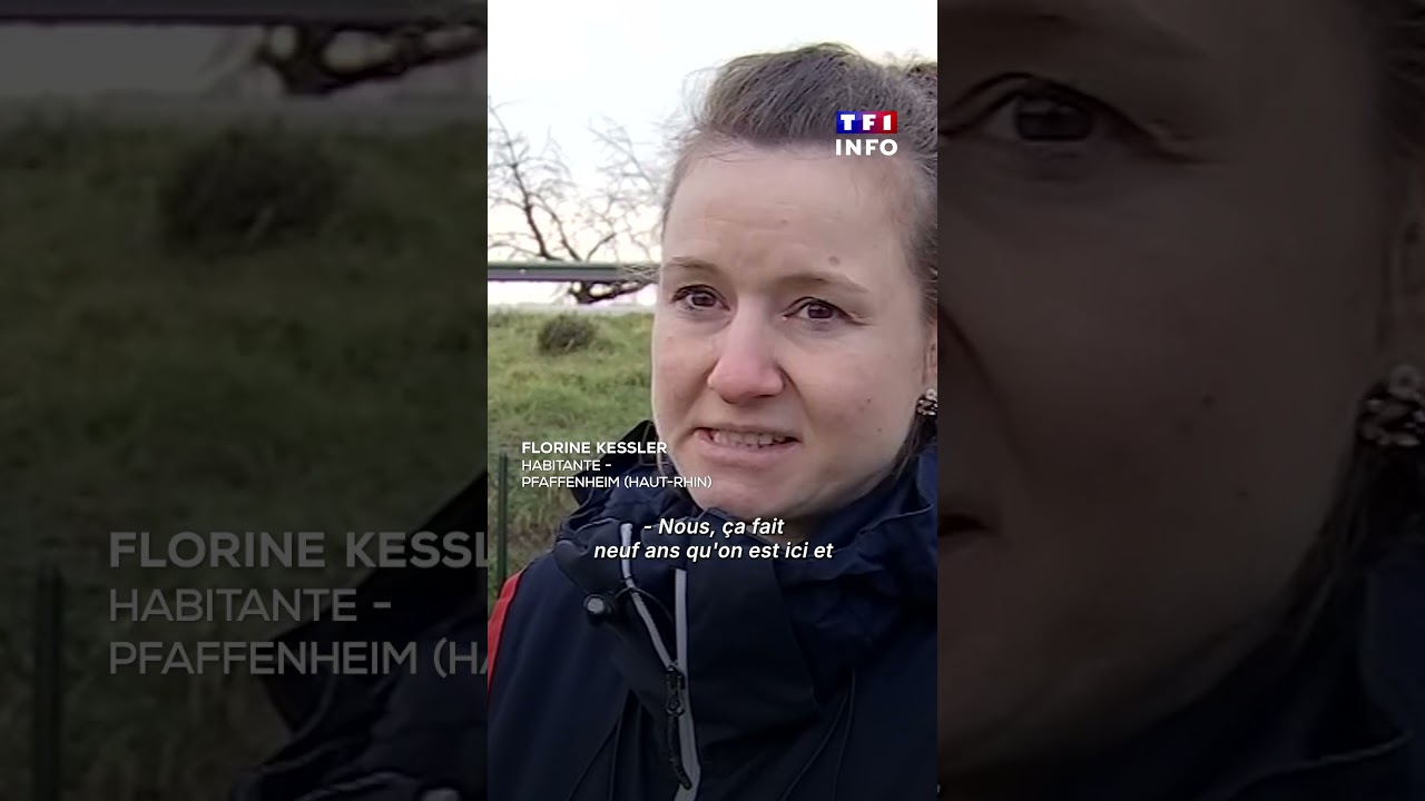 Une voiture dans son jardin... pour la troisième fois｜TF1 INFO