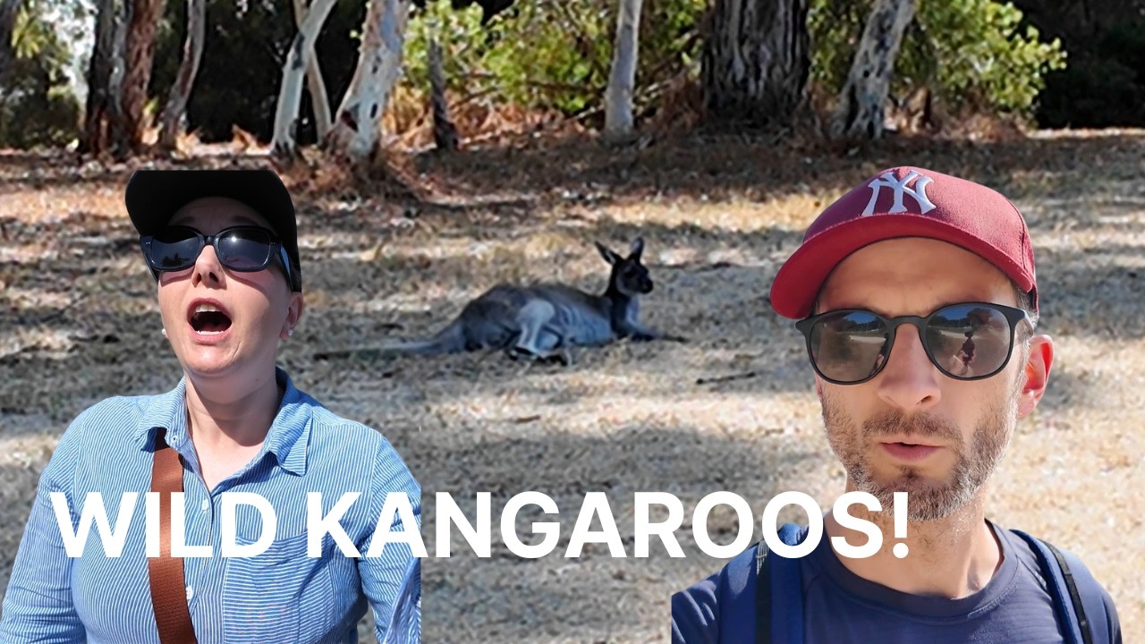 First timers in Perth Australia | Spotting kangaroos - UNBELIEVABLE! | Gillian has all the facts