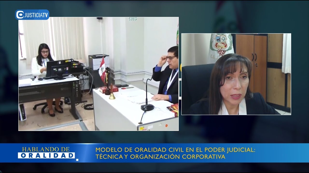 Modelo de oralidad civil en el Poder Judicial: técnica y organización corporativa