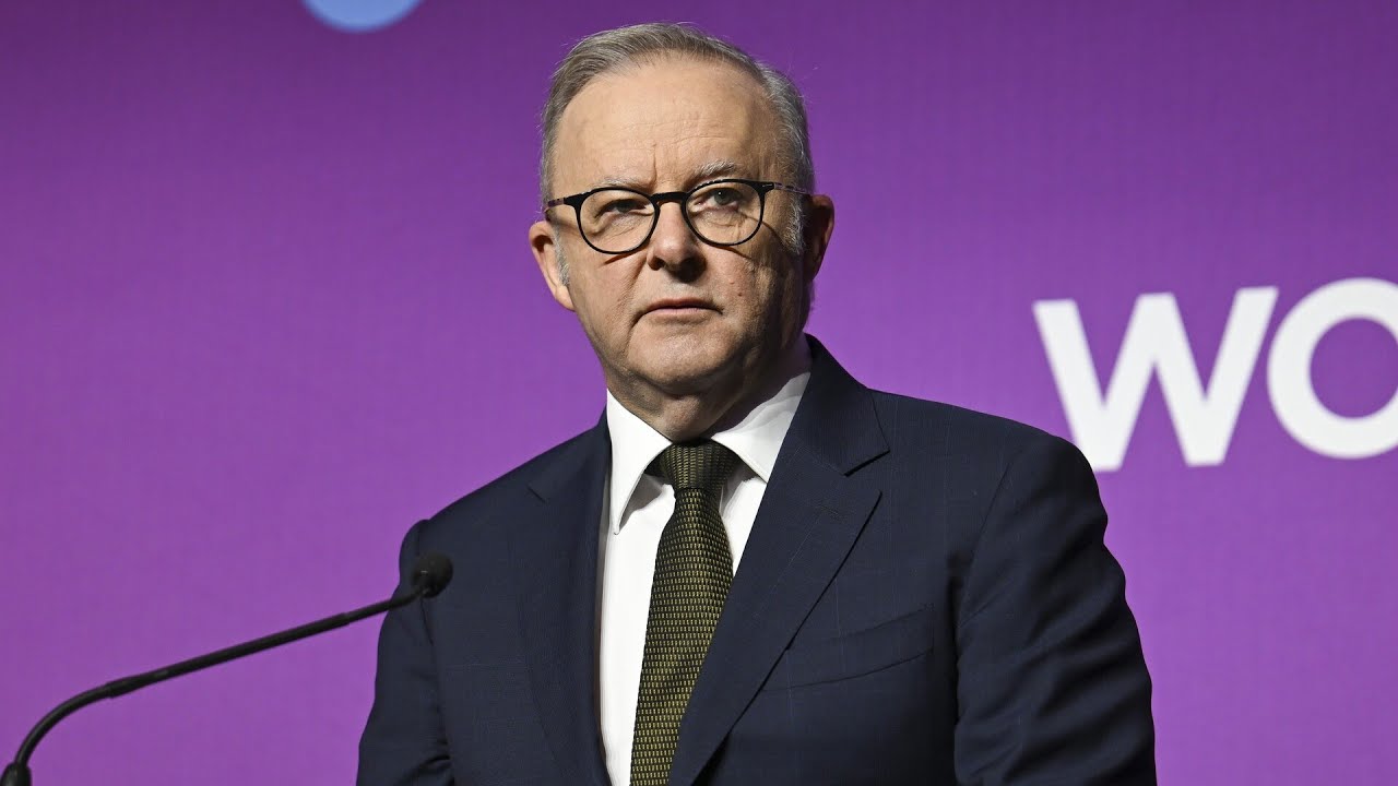 ‘Play stupid games, win stupid prizes’: Albanese under fire over Grace Tame comment