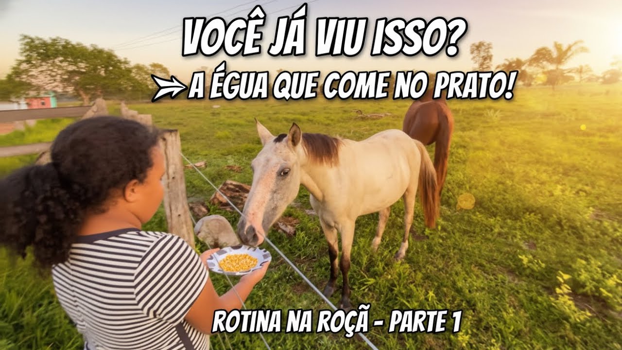 A ÉGUA QUE COME NO PRATO! 🐴 + Construindo nossa Academia Caseira