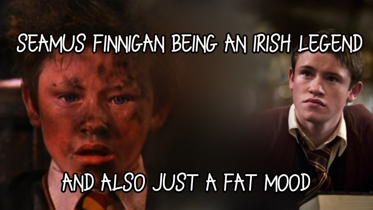 Seamus Finnigan being an Irish legend for 3 minutes straight