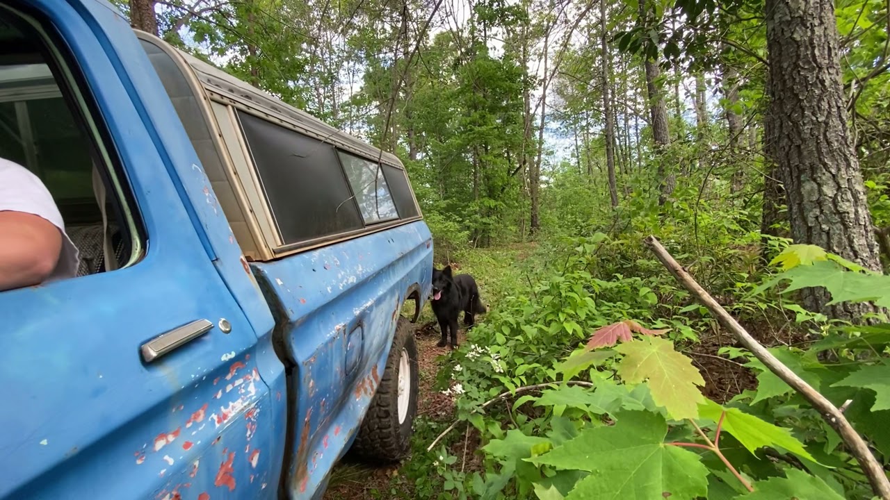 Thunderer tires off-road driving on 79 f250