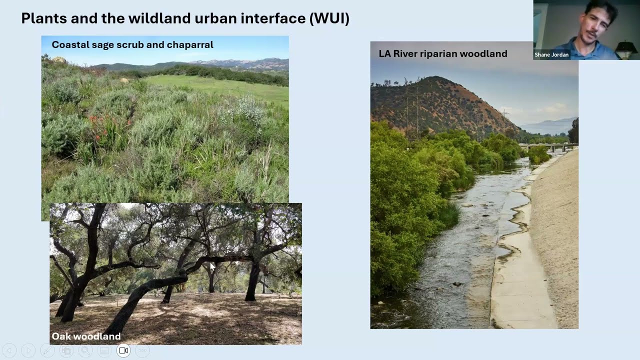 Avian Community Response to the La Tuna Fire in the Verdugo Mountains