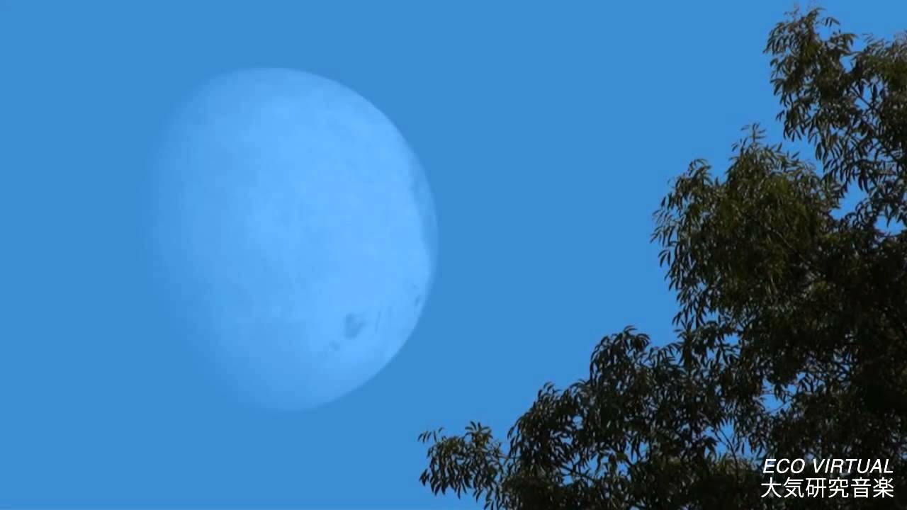 Eco Virtual - New Moon