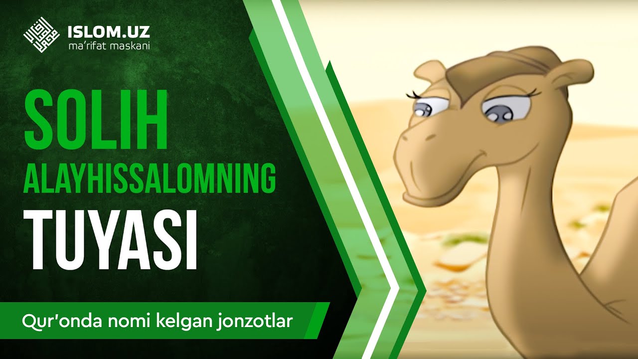 03. Solih alayhissalomning tuyasi (1-qism) | Qur'onda nomi kelgan jonzotlar