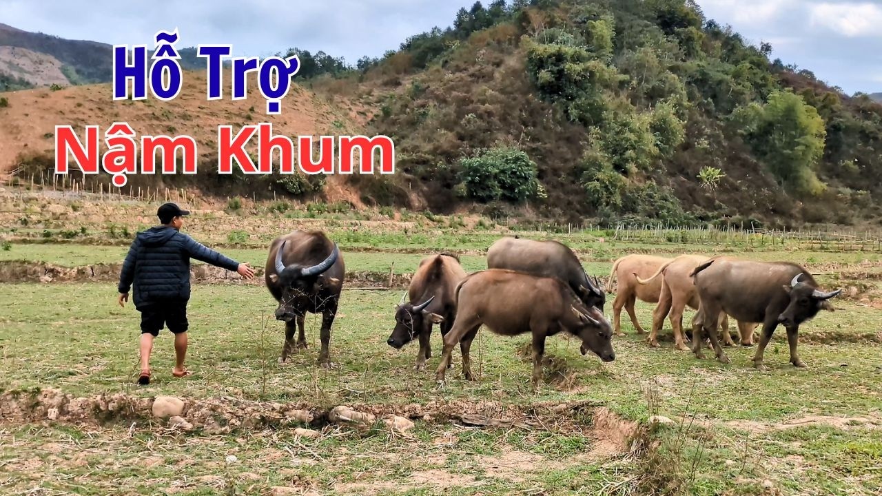 Cùng Đi Xem Đất Trồng Cafe Và Hỗ Trợ Buổi Live Anh Hừ || NẬM KHUM
