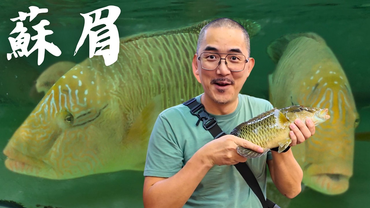 【食魚之旅】為了龍王鯛跑一趟馬來西亞沙巴 嘗嘗傳說級美味
