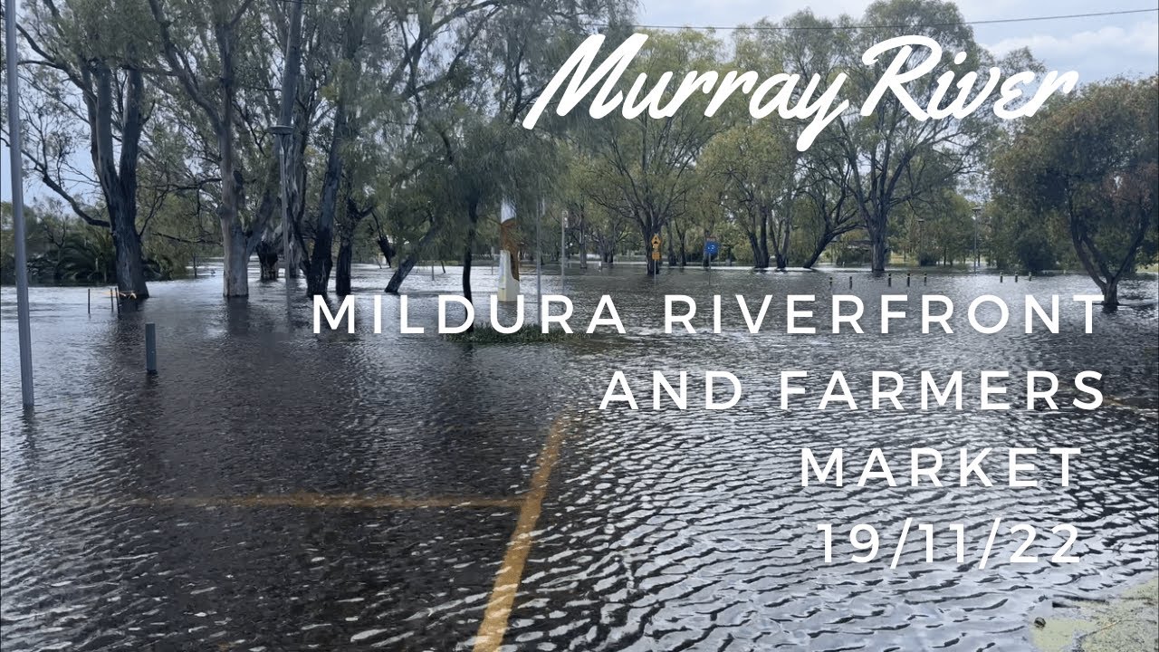 Mildura Riverfront Precinct Murray flood update and Farmers market