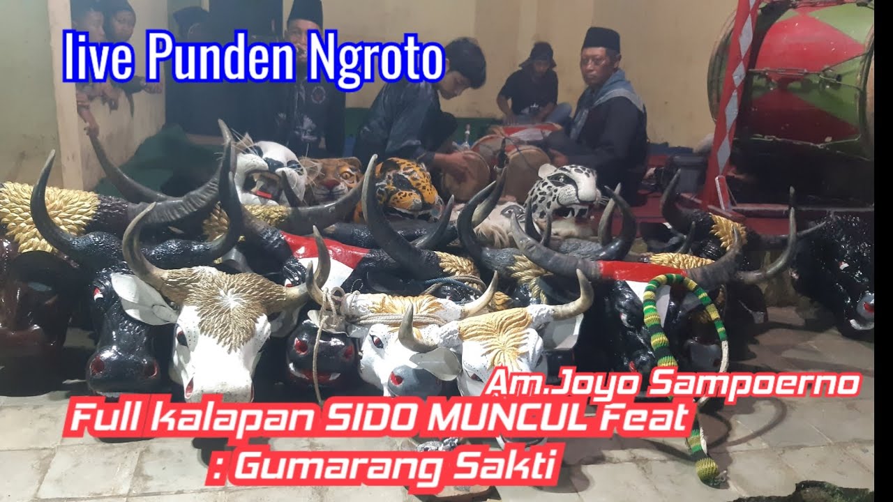 full kalap Bantengan Sido Muncul feat Gumarang Sakti Am Joyo Sampuoerno live punden Ngroto