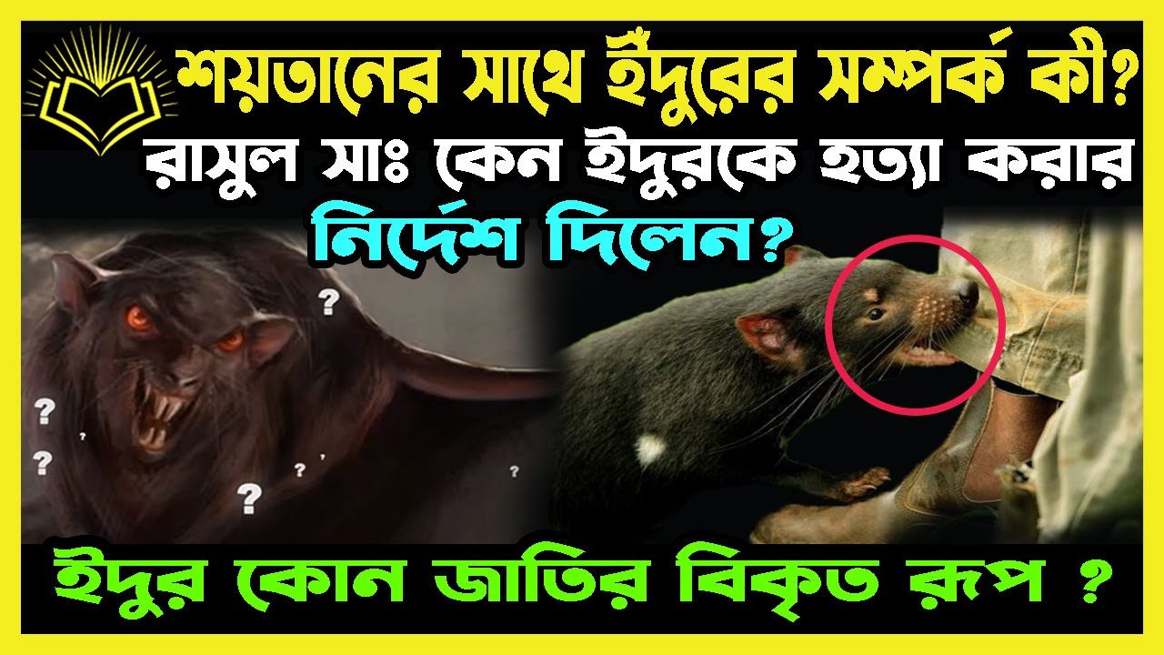 শয়তানের সাথে ইঁদুরের সম্পর্ক কী? রাসুল সাঃ কেন ইদুরকে হত্যা করার নির্দেশ দিলেন?