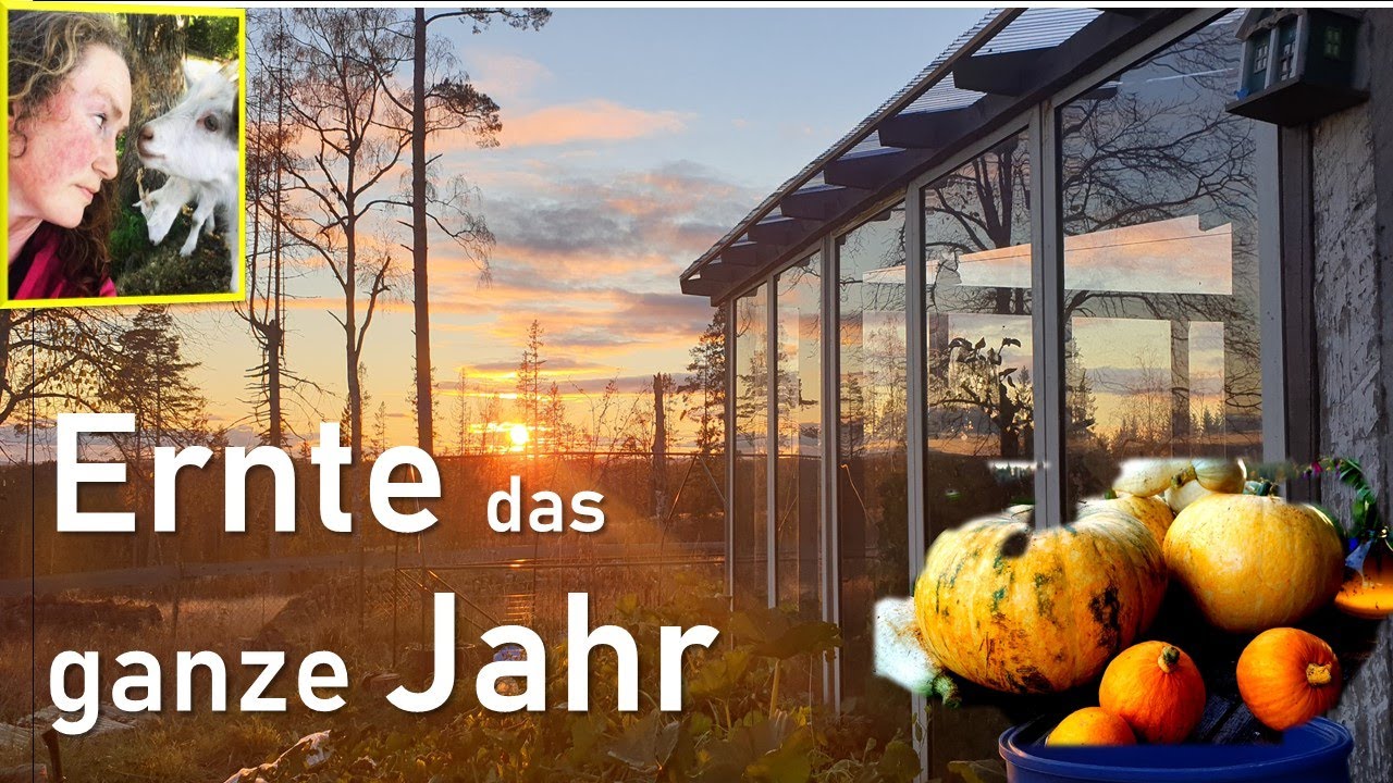 Ernte fuer das ganze Jahr. Wie verteile ich es am besten?