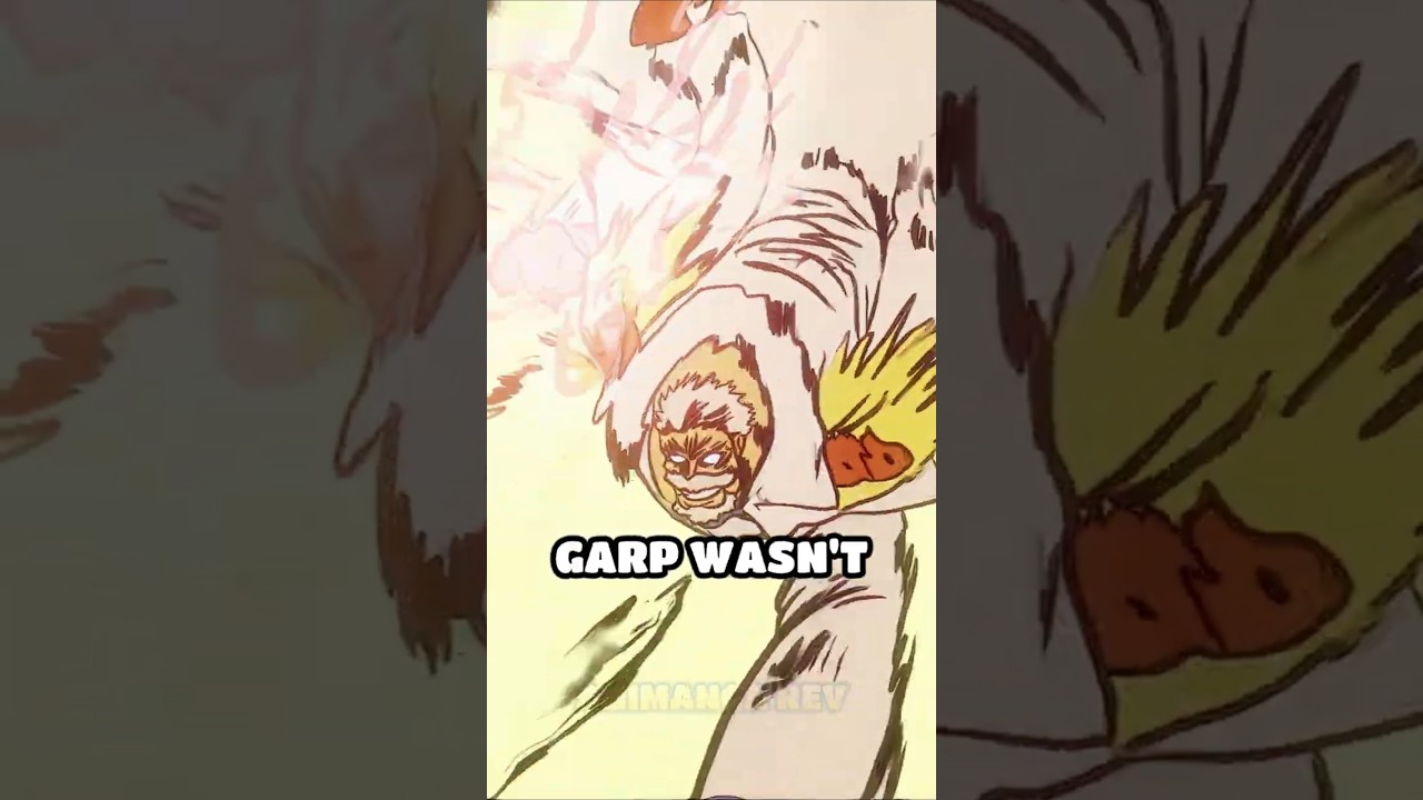 Garp Was NOT the REAL Hero of the God Valley Incident | One Piece