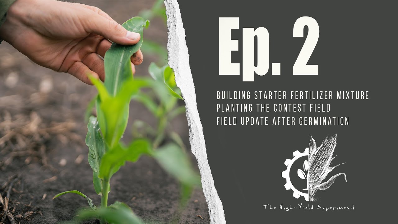 Starting the Process: EP 2 - THE HIGH YIELD EXPERIMENT