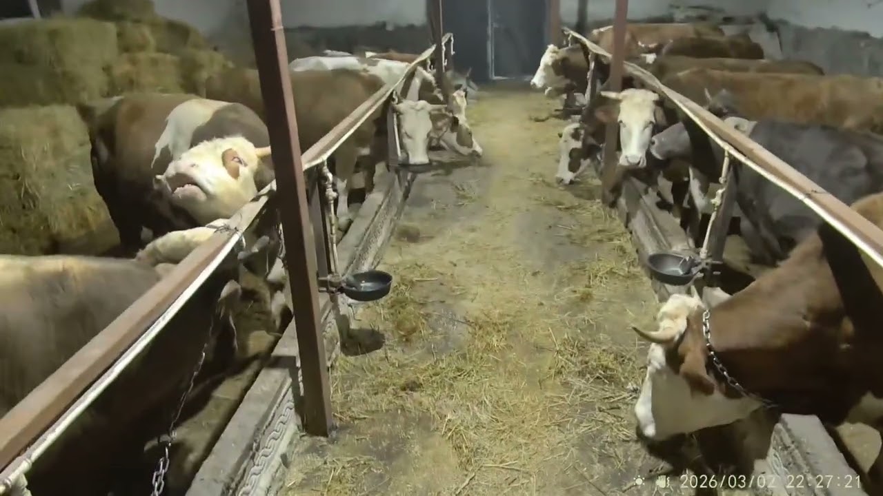 #fypシ゚viral  #keşfetbeniöneçıkar Doğru bilinen yanlışlar!! B1 vitamini ve ilaçların yanlış kullanımı