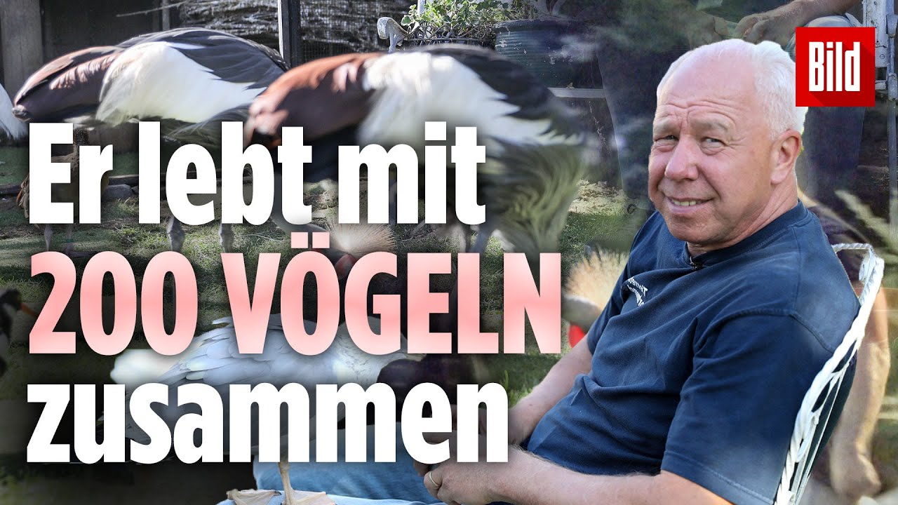 Kaum zu glauben, dass sich dieser „Dschungel“ in Deutschland befindet