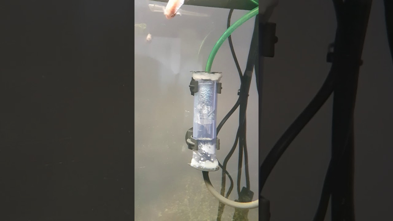 Reattore/atomizzatore co2/anidride carbonica per acquario fai da te /low cost