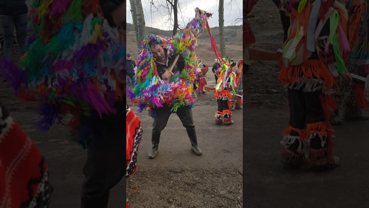 Capra  Bahnaseni 2017-2018
