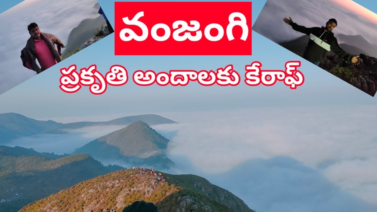 #Vanjangi view point@Paderu || View point || Vanjangi Hill point || morning view || vanjangi hills