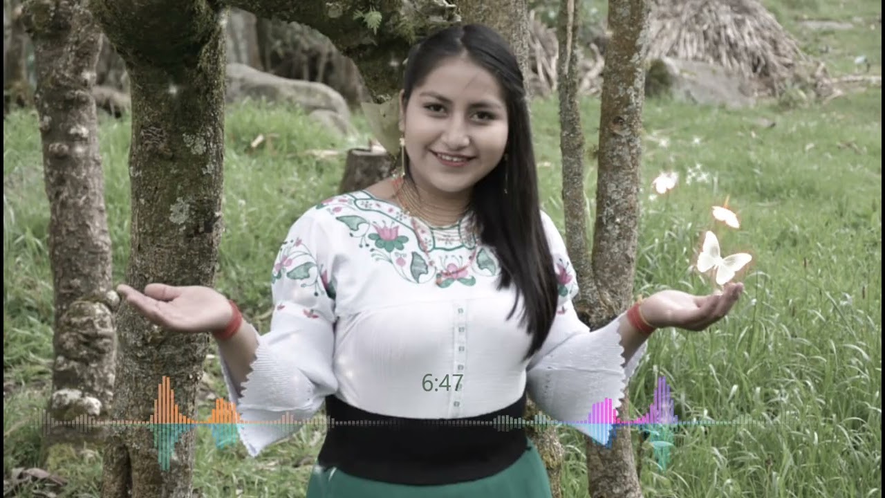 MUSICA CON SENTIMIENTO  AL CORAZÓN  FT ORQUESTAS JOSE DANILO (JOREMIXER)🎶🤗