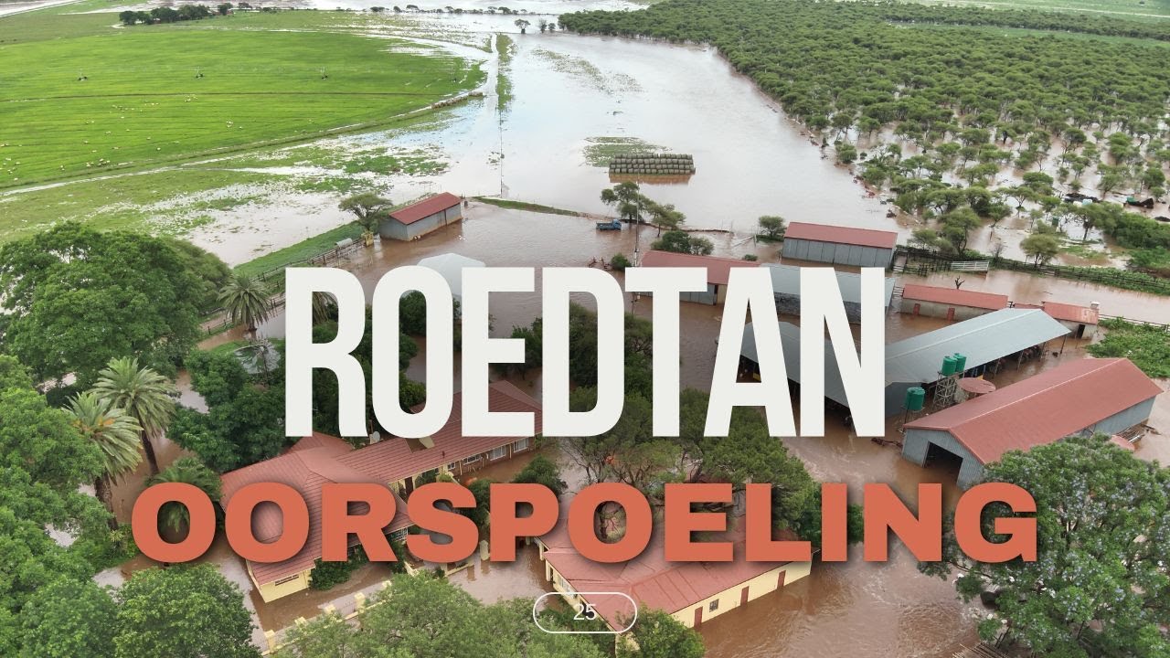 Roedtan Oorspoeling Nuwe Jaar 2025