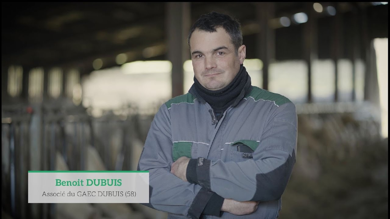 Témoignage client et vétérinaire en élevage allaitant Charolais
