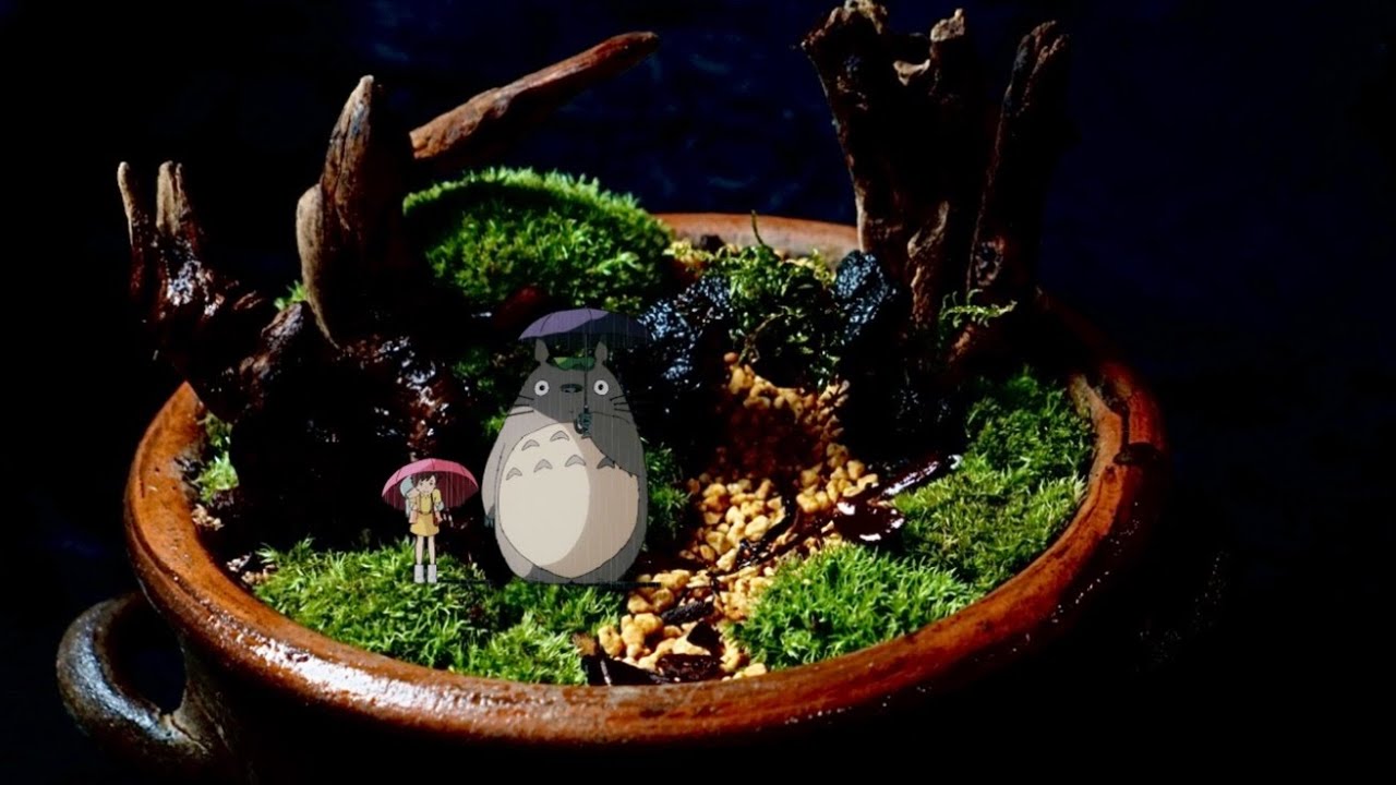 토토로의 숲을 만들었습니다! #테라리움 #식물#식물집사#식물초보