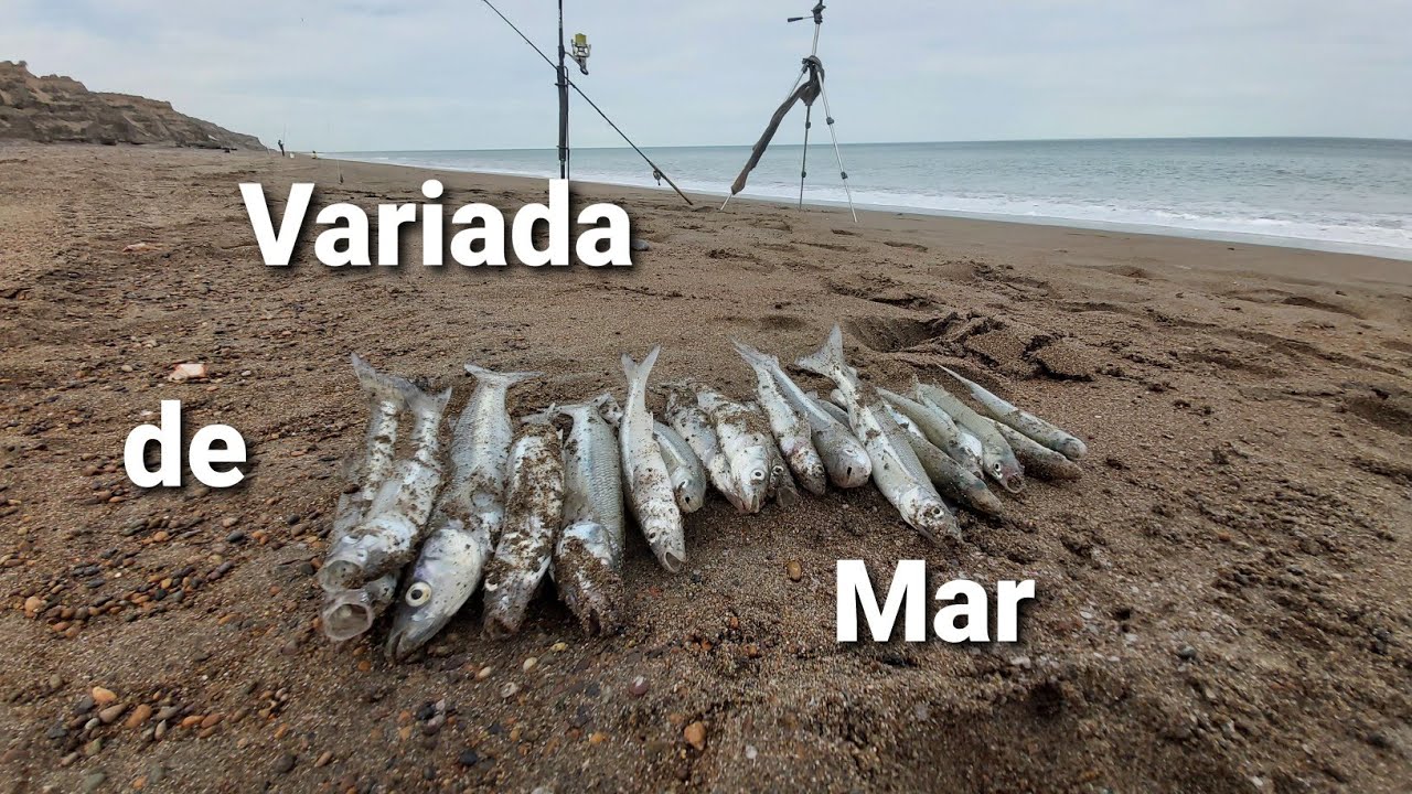 Pesca en los Cañadones, Pejerrey y Gallo  VARIADA