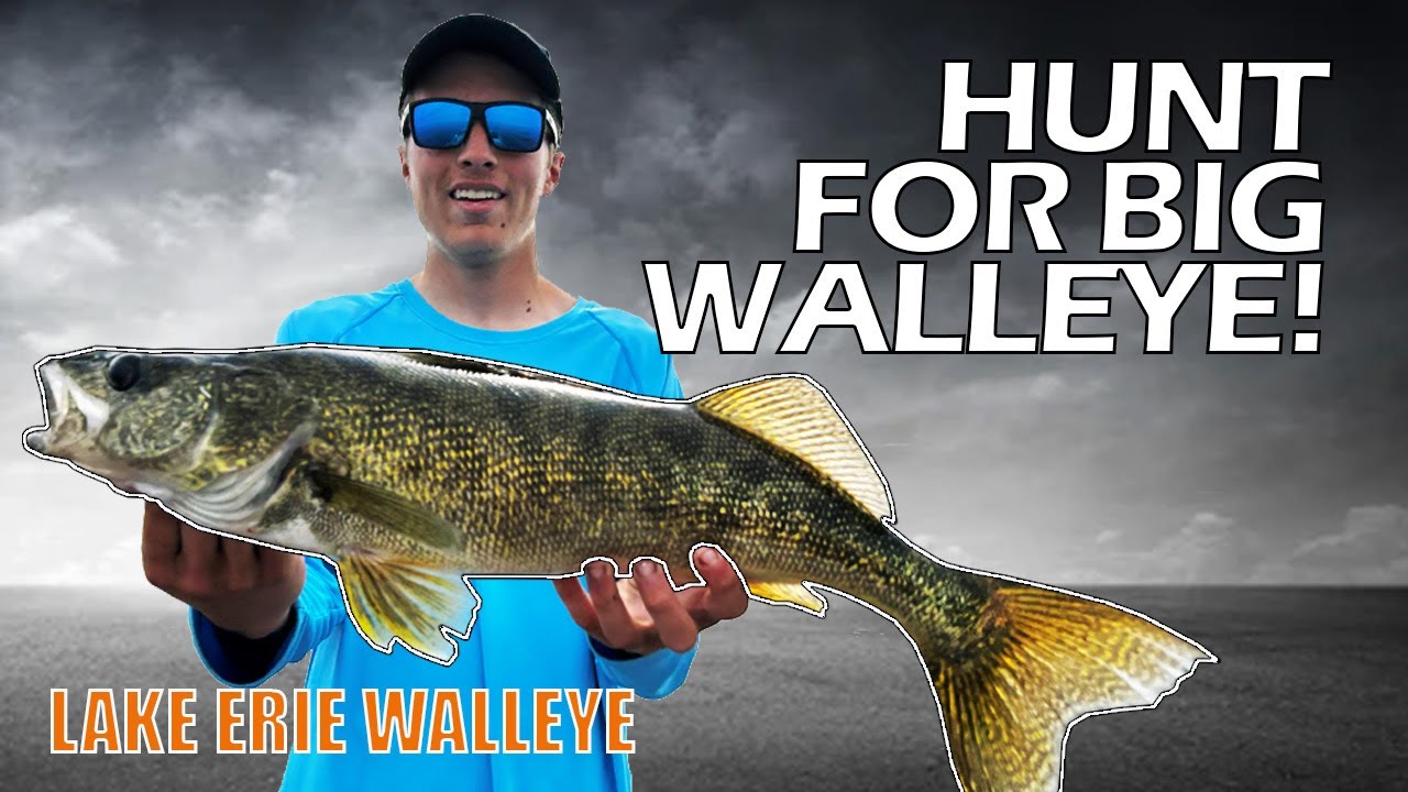 Searching For Big Lake Erie Walleye Trolling. Buffalo Harbor, NY.